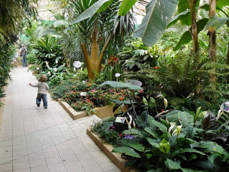 Jardin aux papillons récréatiloups Jardin Serre Créatif