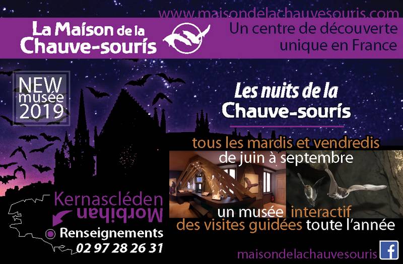 maison-de-la-chauve-souris-kernascleden