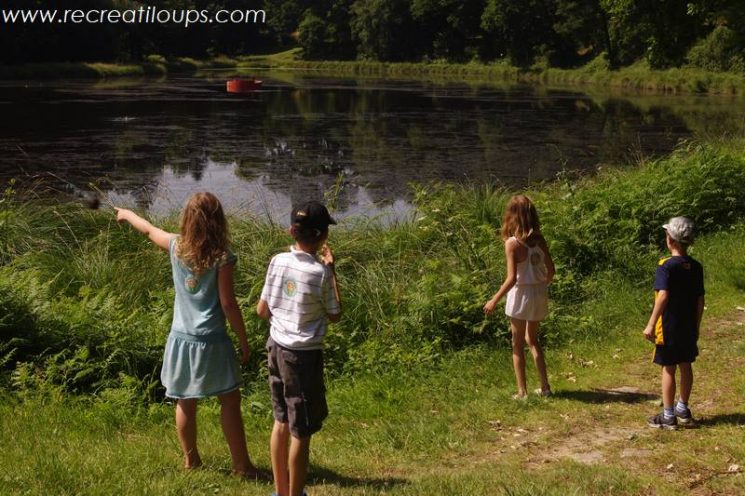 Balade avec les enfants au bord des étangs