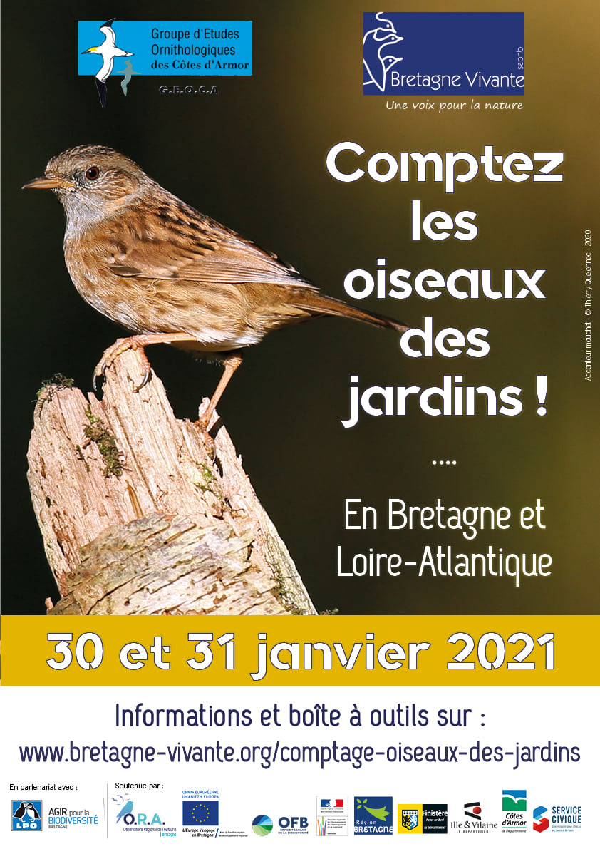 Comptez Les Oiseaux Des Jardins R Cr Atiloups Morbihan